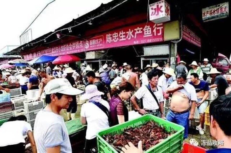 工具推荐类：黎城一中学生常用的文具